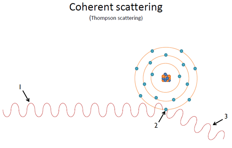 Attenuation: Coherent Scatter – Dr. G's Toothpix